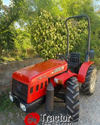 TRATTORE A. CARRARO 3100 4RM 4X4 USATO FRUTTETO