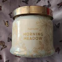 Morning Meadow Partylite 3 stoppini