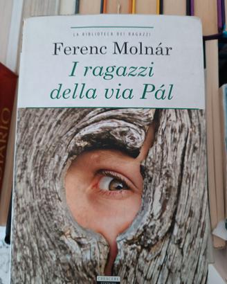 I ragazzi della via Pal