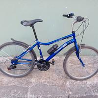 MTB 24"