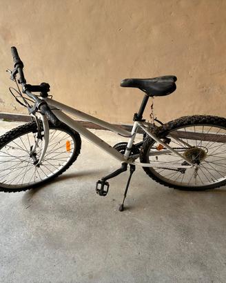 Bicicletta Mountain Bike