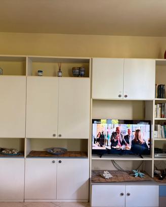 Mobile tv da aoggiorno