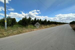 TER. AGRICOLO A CERIGNOLA