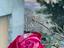 Immagine 16
