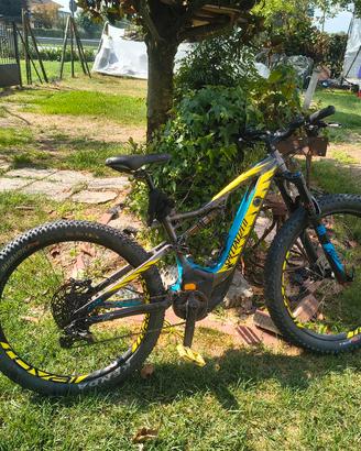 specialized turbo levo