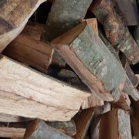 Legna da ardere secca 