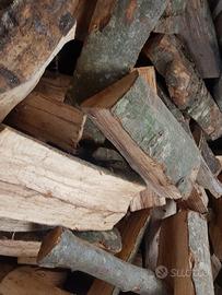 Legna da ardere secca 