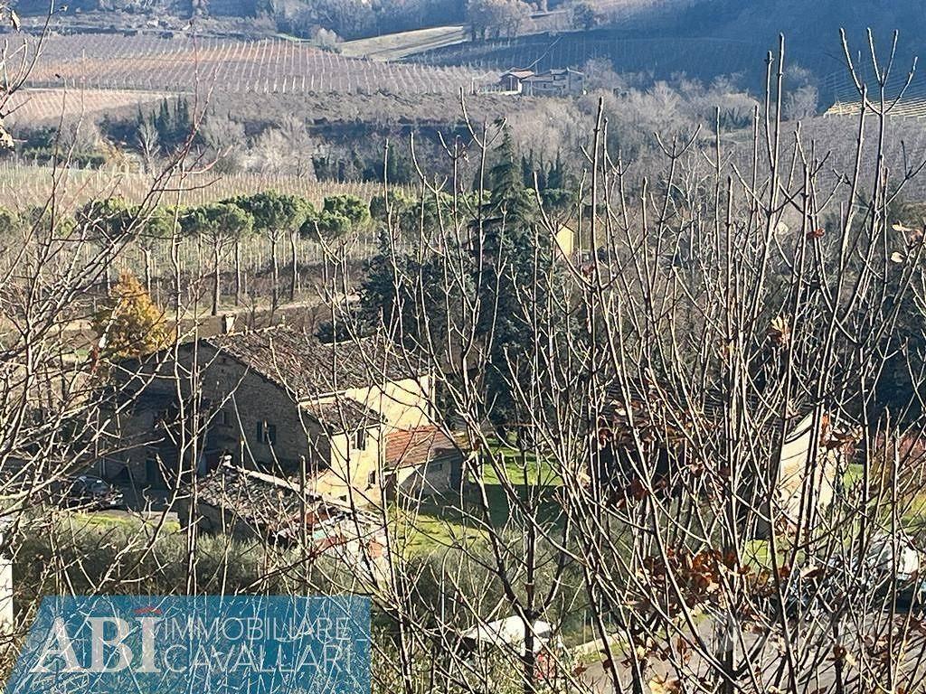 Rustico / Casale di 100000 m² con più di 5 locali - Vista 5