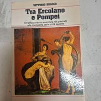 Vittorio Bracco. Tra Pompei ed Ercolano