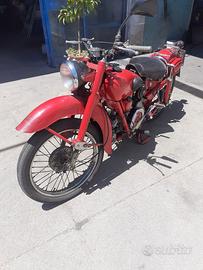 Airone sport Estorino cc250