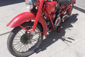 Airone sport Estorino cc250