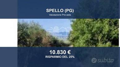Immobile in asta di 7490 m² a Spello