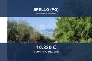 Immobile in asta di 7490 m² a Spello