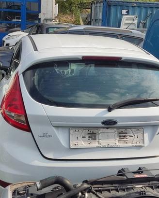 Portellone nudo FORD FIESTA del 2010