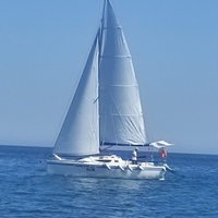 Fast cruiser del 2024 FOCUS 27 S