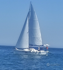 Fast cruiser del 2024 FOCUS 27 S
