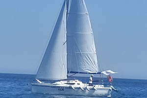 Performance fast cruiser del 2024