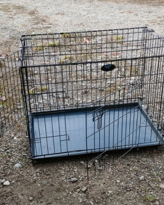 Kennel