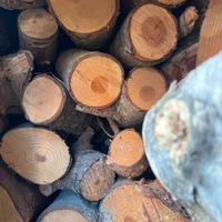 Legna secca – circa 15 m³