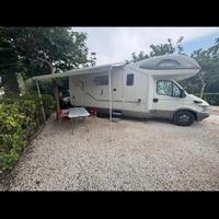 Giottiline Genetics x 700