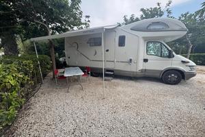 Giottiline Genetics x 700