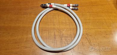 Cavi di segnale Acoustic Zen WOW!!