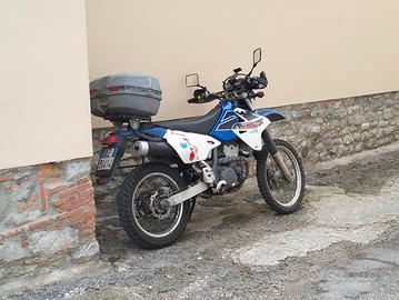 Suzuki DRZ 400 2001