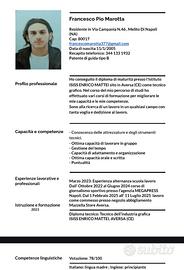 Esperienza lavorativa