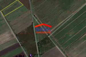Terreno di 3333 m² a Sessa Aurunca