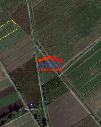 Terreno di 3333 m² a Sessa Aurunca