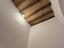 Immagine 12