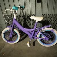Bicicletta viola