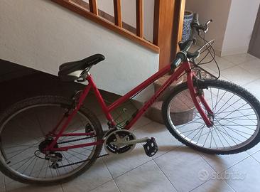 Bicicletta da donna