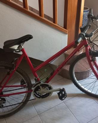 Bicicletta da donna