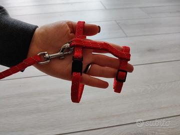 Guinzaglio per Gatti