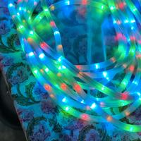 Tubo luminoso per esterno 