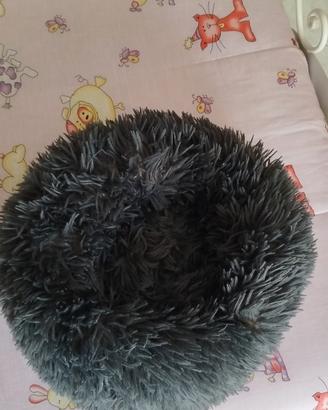 cuccia per cani