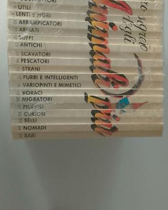 Collana libri de agostini Amz 86/88