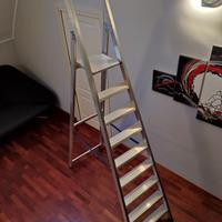 Scala semidoppia Tecnoscale Climb da 2 metri