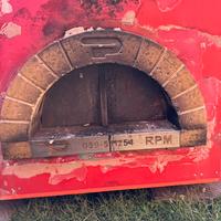 Forno Pavesi Professionale per Pizza a legna