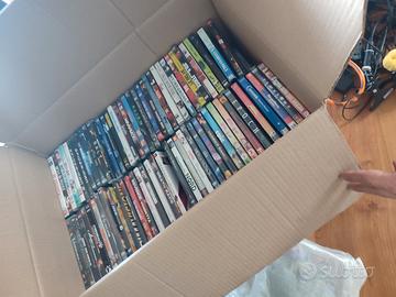lotto 145 dvd