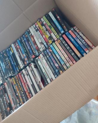 lotto 145 dvd