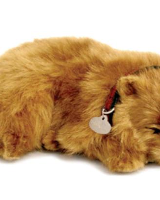 Peluche Perfect Petzzz- Pomeranian