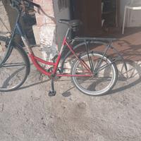Bici pensane
