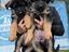 Immagine 1