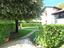 Immagine 7