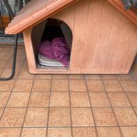 Cuccia per cane