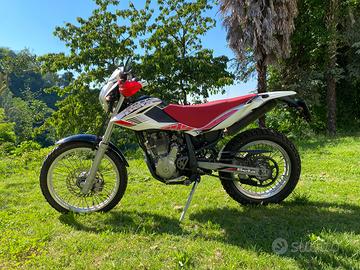 Beta Alp 4.0