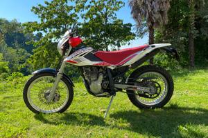 Beta Alp 4.0