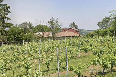 Immobile in asta di 179 m² con 3 locali a Vignale 